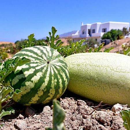 Appartement Relaxia Estate Naxos à Galini  Extérieur photo